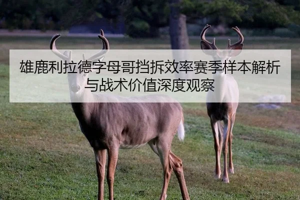 雄鹿利拉德字母哥挡拆效率赛季样本解析与战术价值深度观察